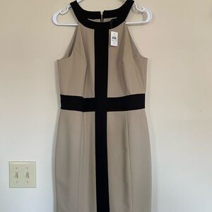 Ann Taylor Black and Tan Dress